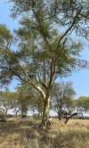 IMG_1653.jpeg
