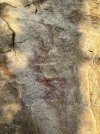 IMG_1663.jpeg