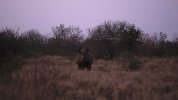 _DSC7210.jpeg