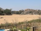 IMG_1380.jpeg