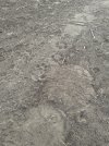 IMG_1432.jpeg