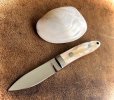 Bailey ~ Loveless style low res%22.jpg
