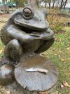 IMG_4041.jpeg