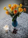 IMG_20231119_140109479.jpg