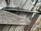 IMG_2860.jpeg