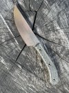 IMG_5497.jpeg