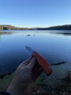 IMG_4890.jpeg