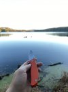 IMG_4892.jpeg
