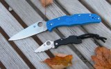 spydie.jpg