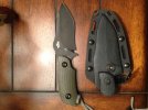 ZT 0201.jpg
