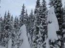 P1040157_1.JPG