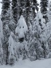 P1040168_1.JPG