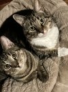 A1715780-4CED-4C62-9A64-2CFB7E1AD933.jpeg
