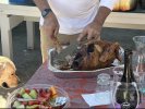 IMG_2379.jpeg