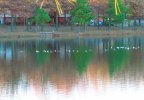 IMG_2996.JPG