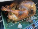 IMG_9033.jpeg