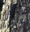 IMG_4573.jpeg