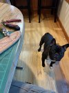 IMG_4758.jpeg