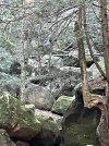 IMG_6681.jpeg