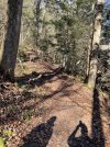 IMG_6678.jpeg