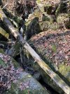 IMG_6677.jpeg