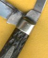 Schatt Scout 2.jpg
