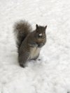 IMG_2681.jpeg