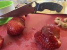 IMG_9068.jpeg