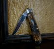 Case mini trapper - 1.jpeg