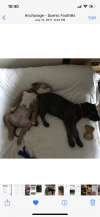3BA17B8C-B916-4C81-88DF-EE32AAB2F578.png
