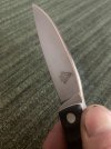 IMG_3986.jpeg