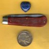 Red Diamondback 3.jpg