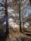 IMG_5400.jpeg