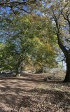 IMG_5402.jpeg