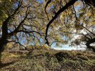 IMG_5404.jpeg