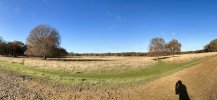 IMG_5410.jpeg