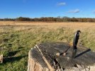 IMG_5411.jpeg