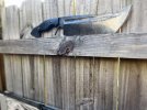 IMG_3053.jpeg