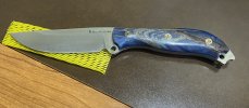 IMG_7503.jpeg