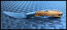IMG_0650.jpeg