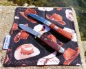 2023-11-29 WW GEC47 Boker Club Ironwood.JPG