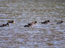 IMG_3097.JPG