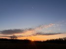 IMG_9381.jpeg