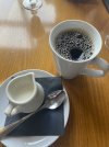 IMG_0668.jpeg