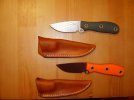 Wardens with Sheath.jpg
