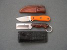 Orange GW with Ringed Razel.jpg
