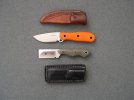 Orange GW with Stubby Razel.jpg