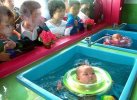 babies.jpg