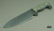 Busse-SHSH-II.jpg
