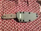 ESEE 4.jpg